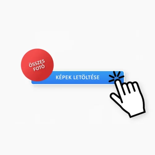 Összes kép letöltése
